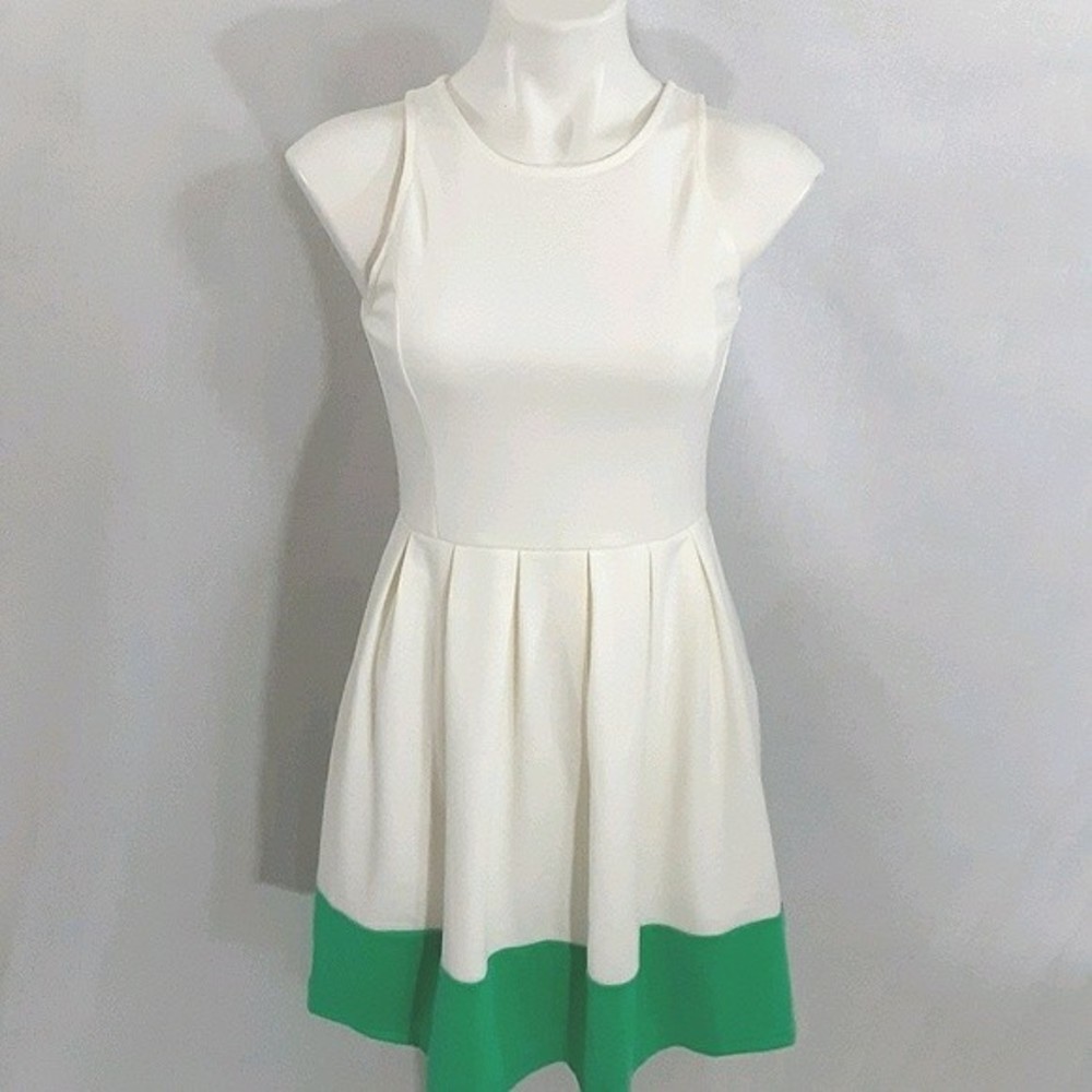 Emmelee Small Sleeveless Pleated Skirt Dress Spring Summer Feminine Chic Staple